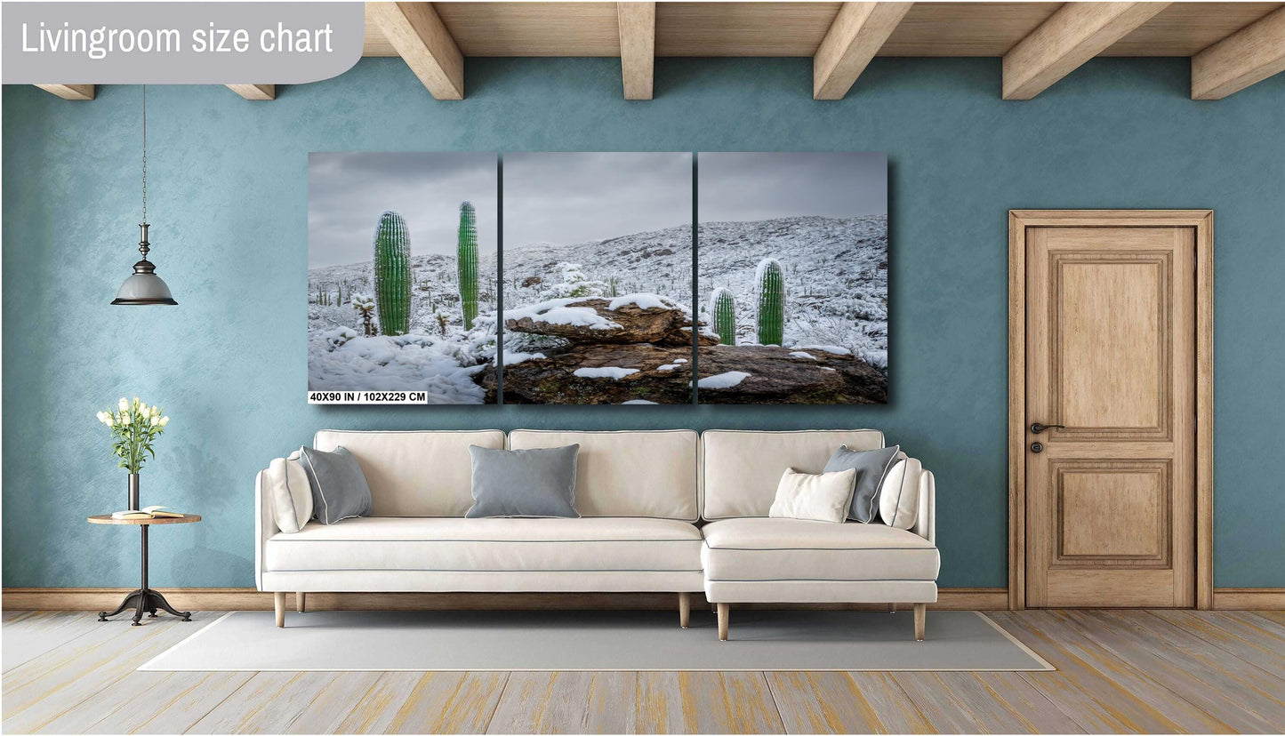 Snow-covered saguaro cacti in Saguaro National Park in Arizona surrounded by snowy desert hills and rocks.