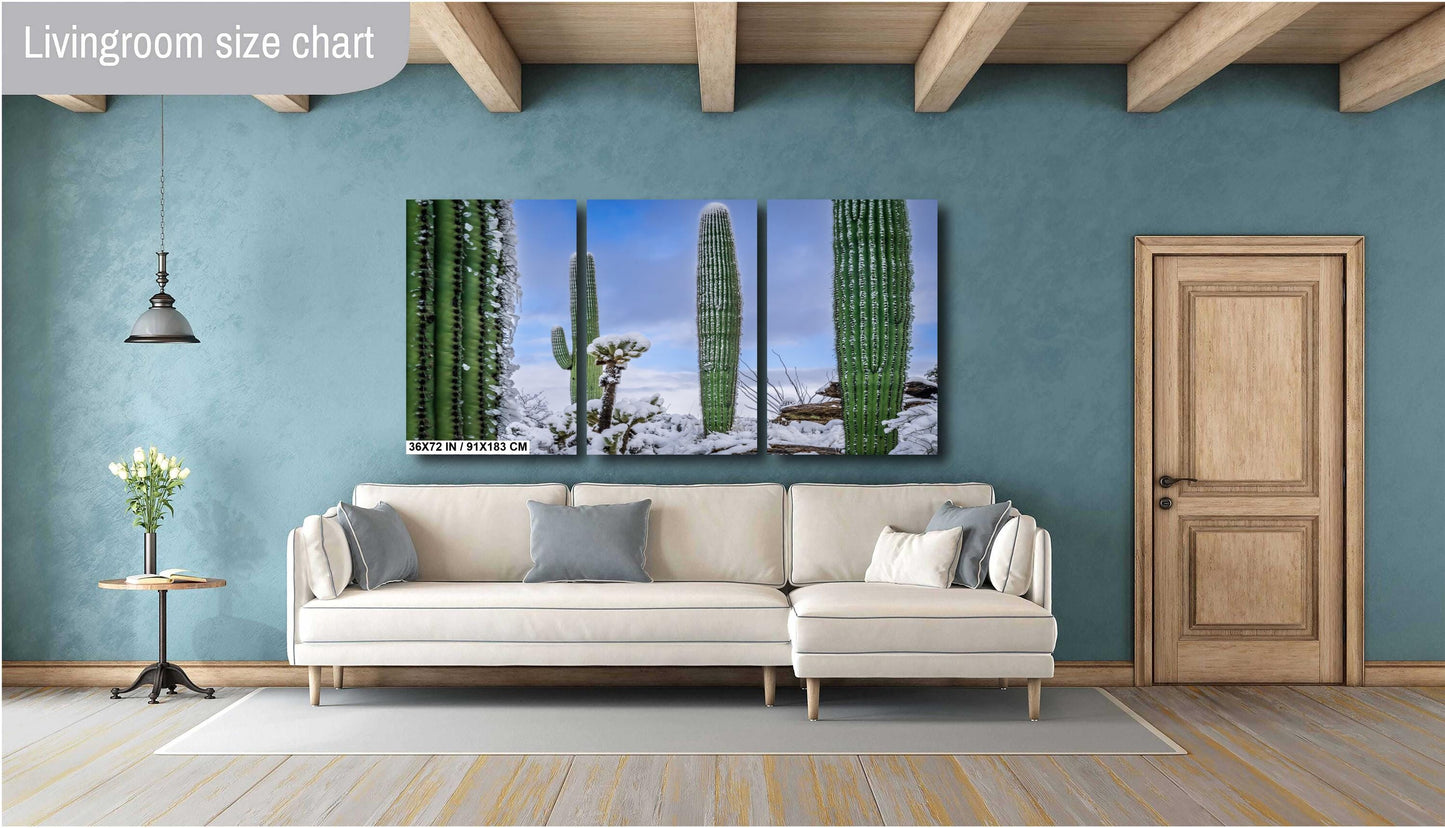 Snow-Draped Tall Cactus: Saguaro National Park Tucson Arizona Print Wall Art Photography Aluminum/Acrylic/Metal/Canvas