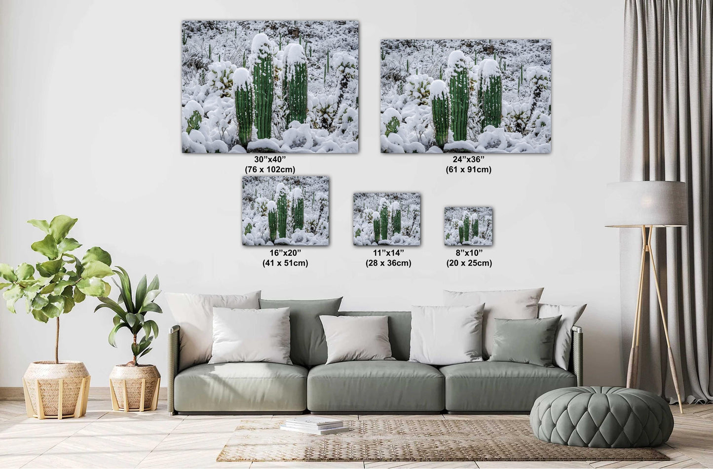 Proud Cactus Soldiers In The Snow : Snow-Capped Saguaros in Tucson Arizona Print Wall Art Photography Aluminum/Acrylic/Metal/Canvas