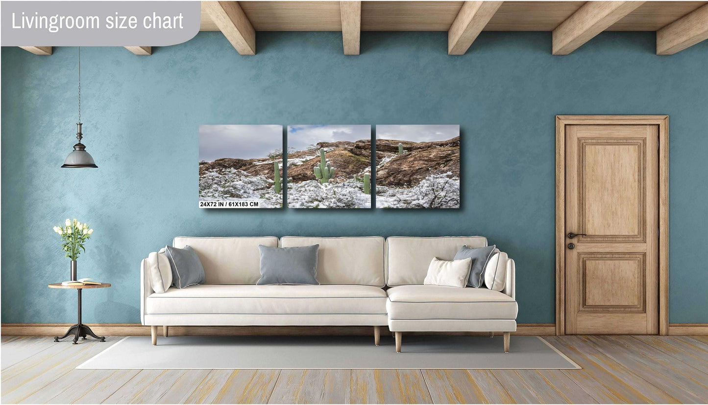 Winter’s Trio: Saguaros in Snow National Park Winter in Tucson Arizona Print Wall Art Photography Aluminum/Acrylic/Metal/Canvas