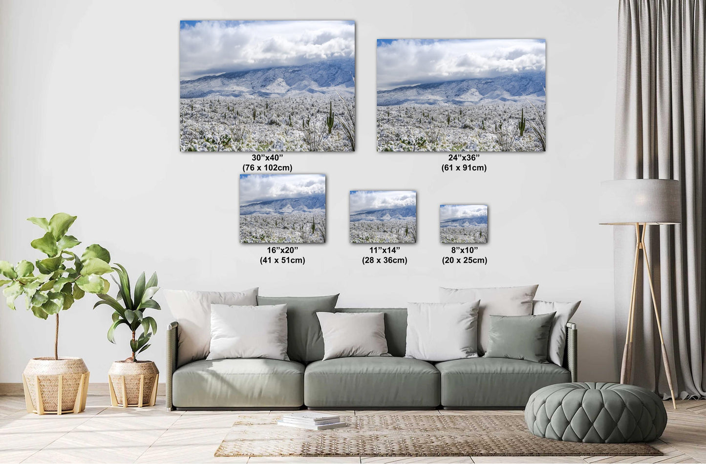 Winter’s Touch on the Desert Landscape: Saguaro National Park Print Wall Art Tucson Winter Snow Photography Aluminum/Acrylic/Metal/Canvas