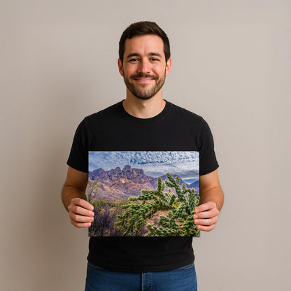 Cholla Cactus in Catalina State Park, Arizona, Photography Print, Sonoran Desert Mountain Landscape Wall Art