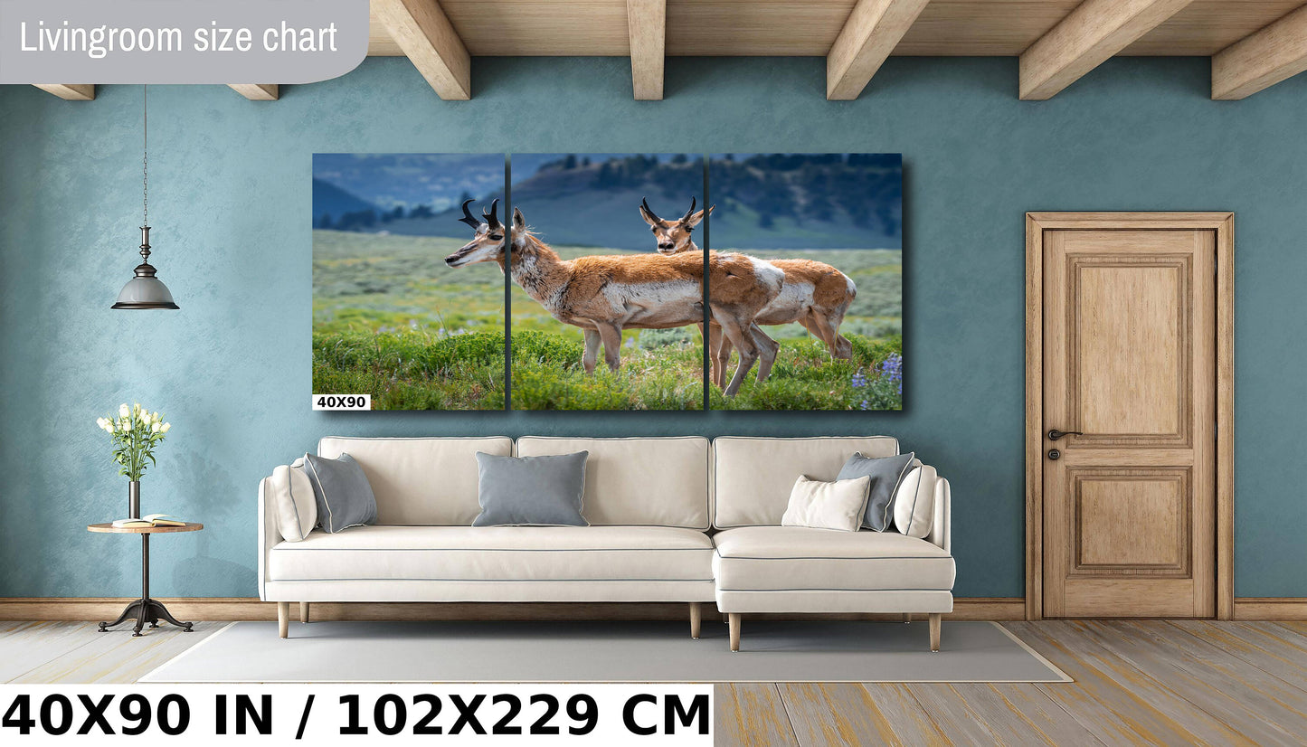Pronghorn Pair: Twin Pronghorn in Yellowstone Wall Art National Park Metal Aluminum Print Wildlife Photography