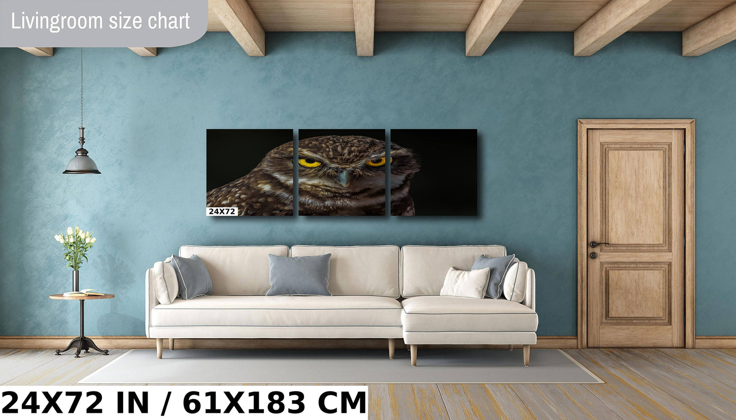 Owl Be Hiding: The Captivating Stare of a Burrowing Owl Metal Aluminum Print Bird Wall Art Photography