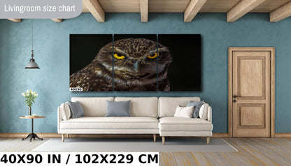 Owl Be Hiding: The Captivating Stare of a Burrowing Owl Metal Aluminum Print Bird Wall Art Photography