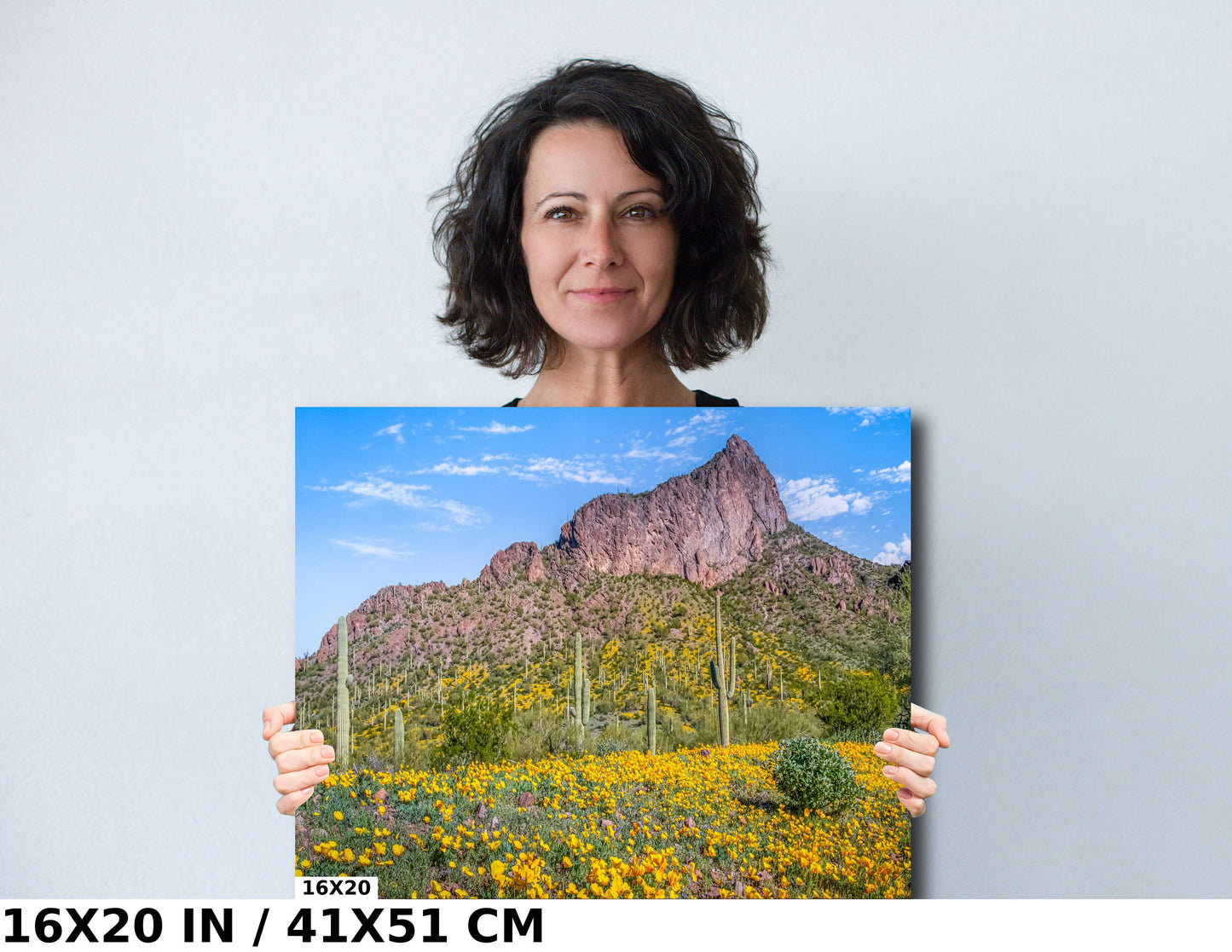 Picacho's Palette: Orange Yellow Poppies Wall Art Picacho Peak State Park Wildflower Metal Acrylic Print Arizona Landscape
