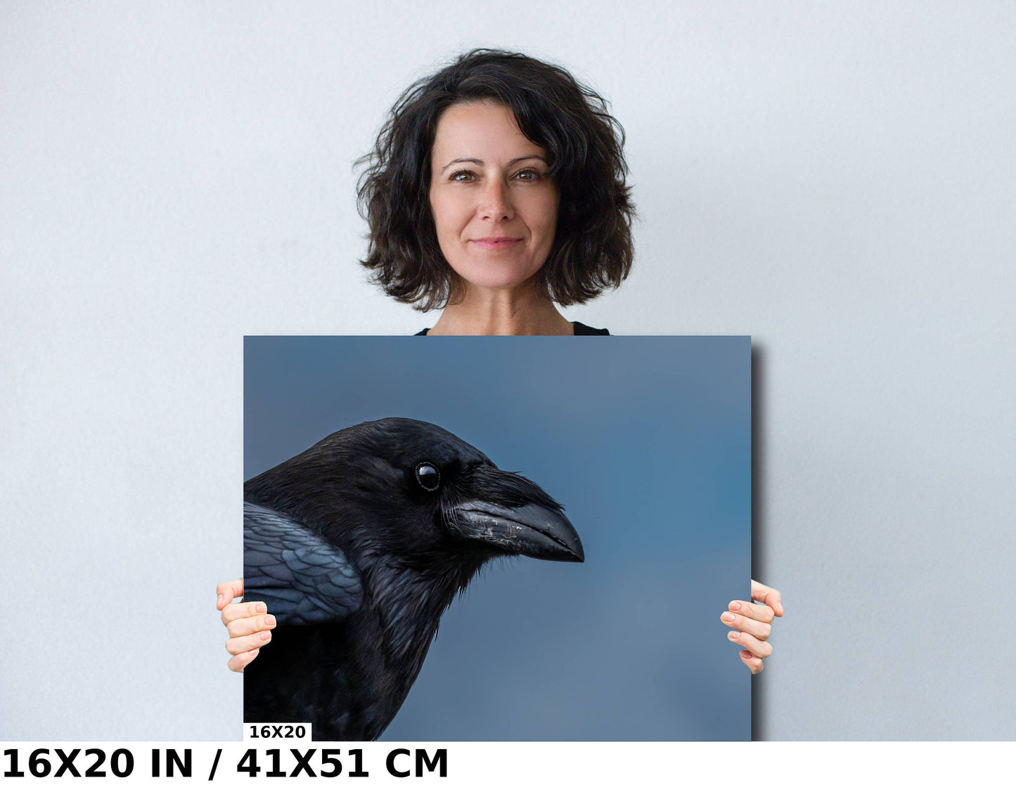 Raven Radiance: Half-Body Shots of Common Raven Wall Art Bird Photography Metal Canvas Print