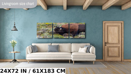 Bison Side Eye Glance: Yellowstone American Buffalo Side Angle Photography Wall Art Metal Aluminum Print Wyoming Wildlife