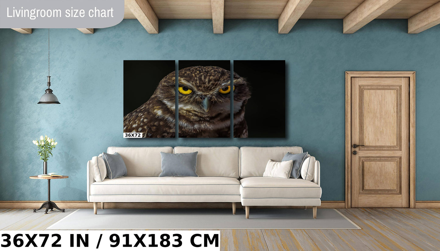 Owl Be Hiding: The Captivating Stare of a Burrowing Owl Metal Aluminum Print Bird Wall Art Photography