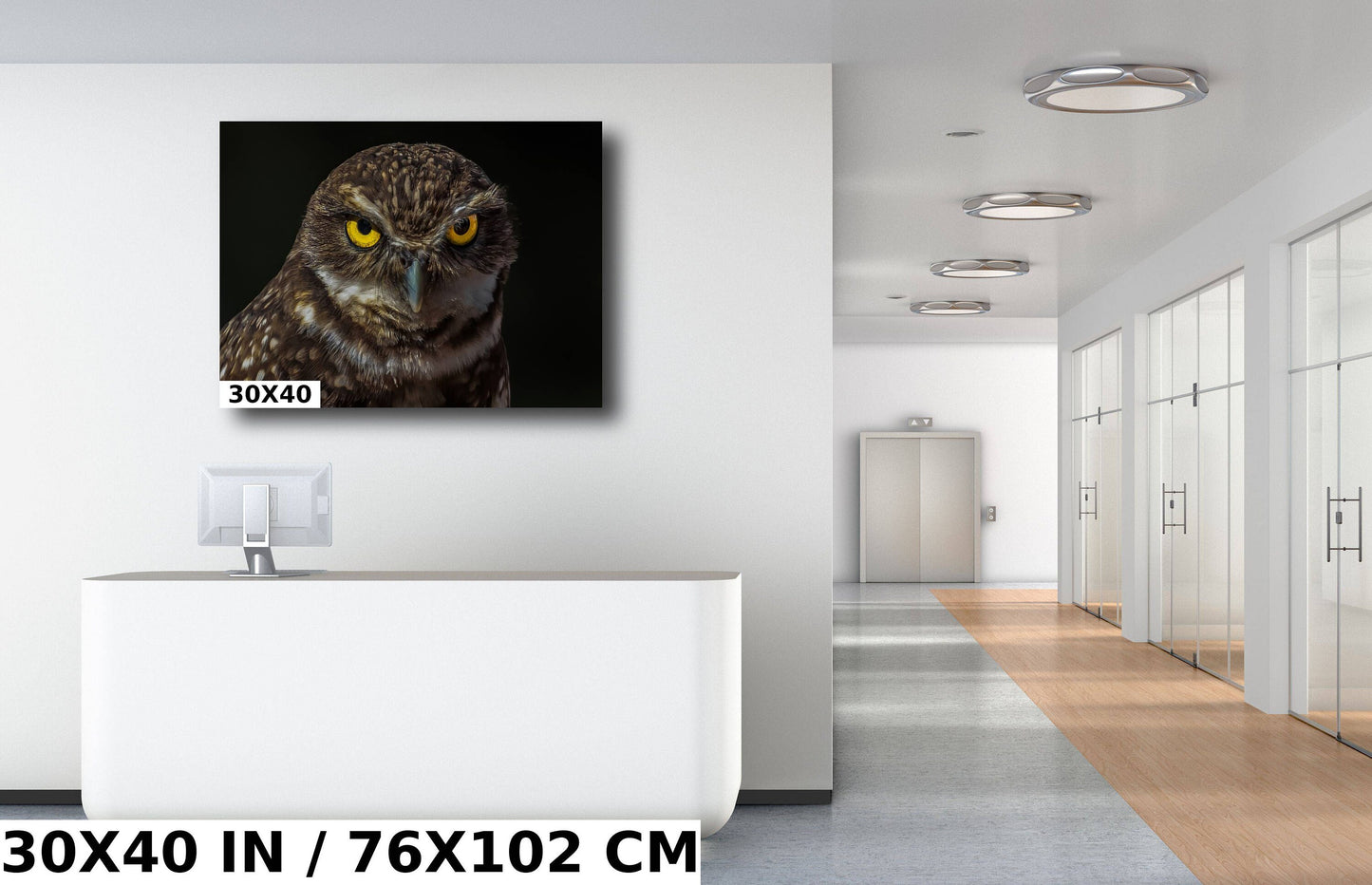 Owl Be Hiding: The Captivating Stare of a Burrowing Owl Metal Aluminum Print Bird Wall Art Photography