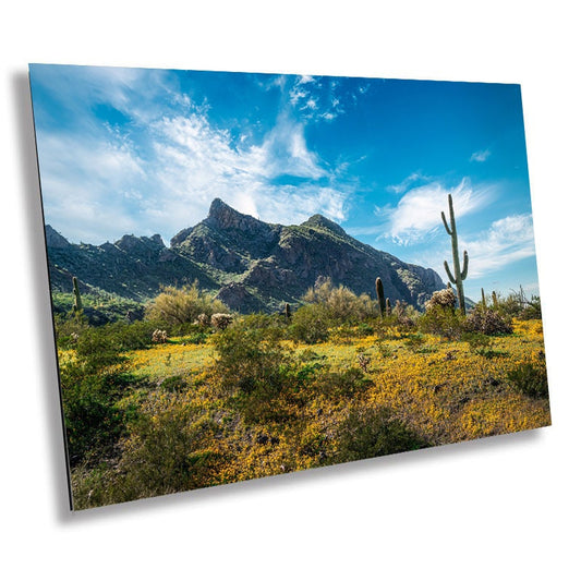 Skyward Splendor: Picacho Peak State Park's Hillside Cactus and Wildflowers Wall Art Arizona Desert Blue Skies Landscape