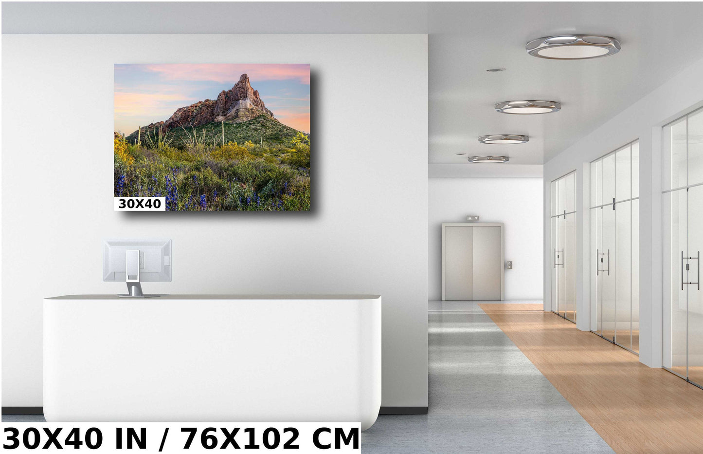 Spring has Sprung in Organ Pipe: High Big Rocks and Wildflowers Organ Pipe Cactus National Monument Metal Canvas Print Wall Art Arizona