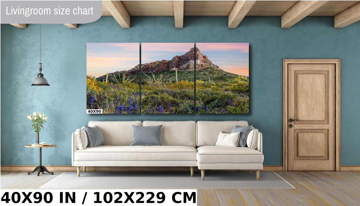 Spring has Sprung in Organ Pipe: High Big Rocks and Wildflowers Organ Pipe Cactus National Monument Metal Canvas Print Wall Art Arizona