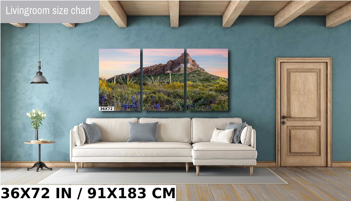 Spring has Sprung in Organ Pipe: High Big Rocks and Wildflowers Organ Pipe Cactus National Monument Metal Canvas Print Wall Art Arizona