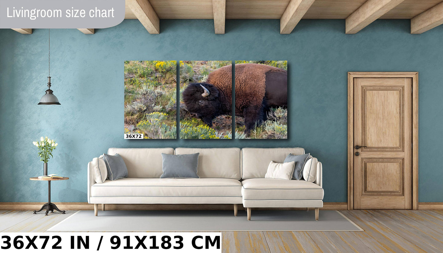 Bison Side Eye Glance: Yellowstone American Buffalo Side Angle Photography Wall Art Metal Aluminum Print Wyoming Wildlife