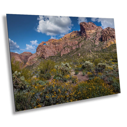 Rocky Solitude: Organ Pipe Cactus National Monument Giant Rock and Wildflowers Wall Art Metal Aluminum Print Arizona Desert Landscape