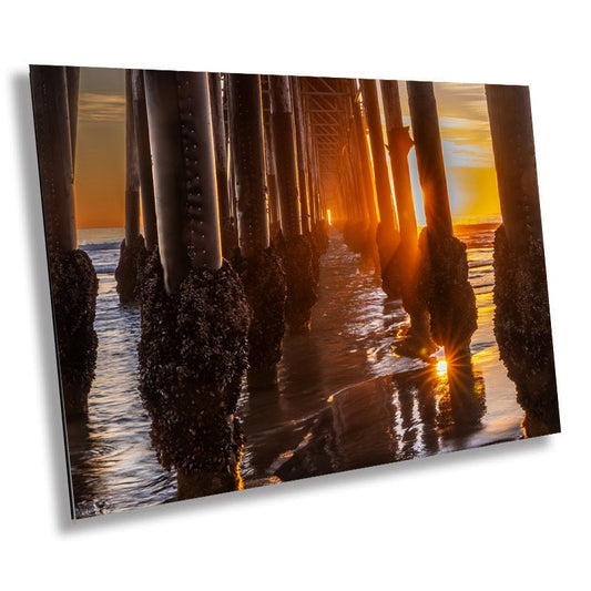 Shimmering Seascape: Oceanside Pier California Sunset Reflections Among Mussels and Barnacles Wall Art Metal Canvas Print