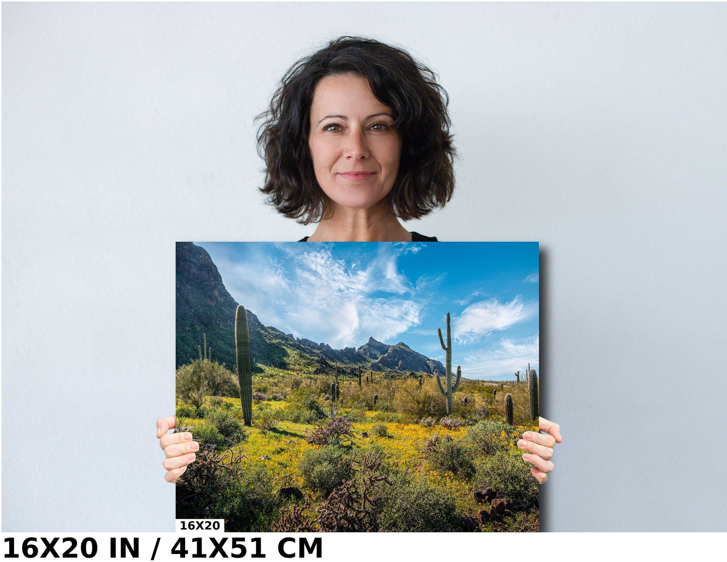 Pretty Picacho Peak: Saguaro Cacti and Wildflowers Amidst Picacho Peak Arizona State Park Wall Art Metal Acrylic Print