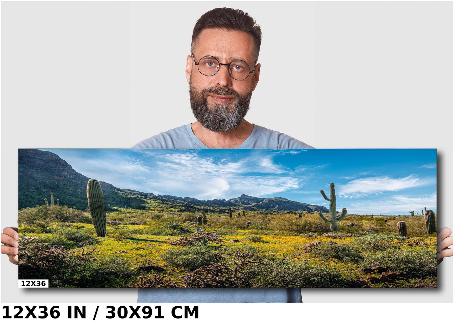 Pretty Picacho Peak: Saguaro Cacti and Wildflowers Amidst Picacho Peak Arizona State Park Wall Art Metal Acrylic Print