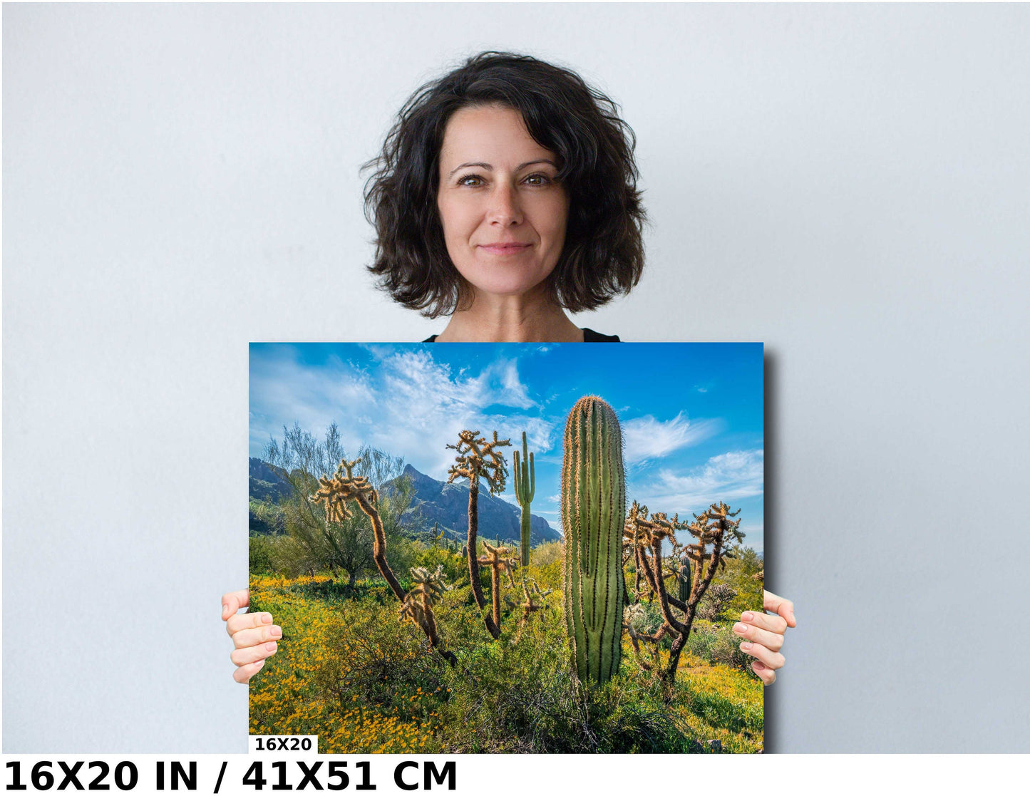 Picacho Peak Cactus Party: Vibrant Cactus Varieties Surrounded by Wildflower in Picacho Peak Arizona State Park Wall Art Metal Acrylic Print