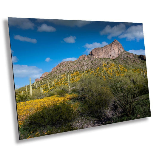 Breathtaking Scenes: Picacho Peak State Park Poppy Super Bloom Wall Art Metal Aluminum Print Arizona Landscape