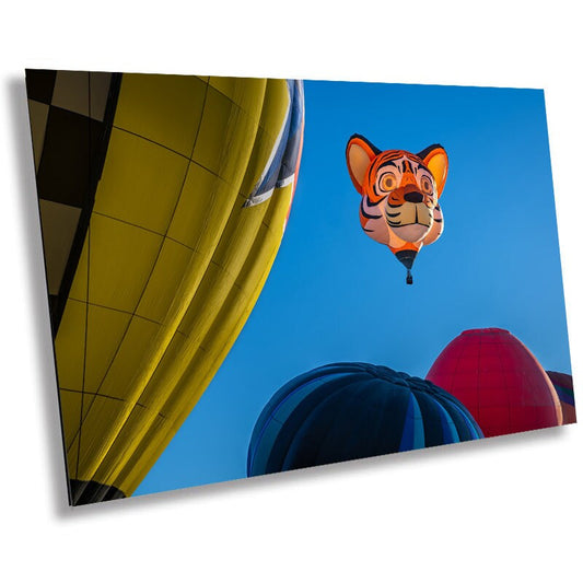 Roaring Heights: Tiger Design Hot Air Balloon at Albuquerque Balloon Fiesta Wall Art Metal Canvas Print