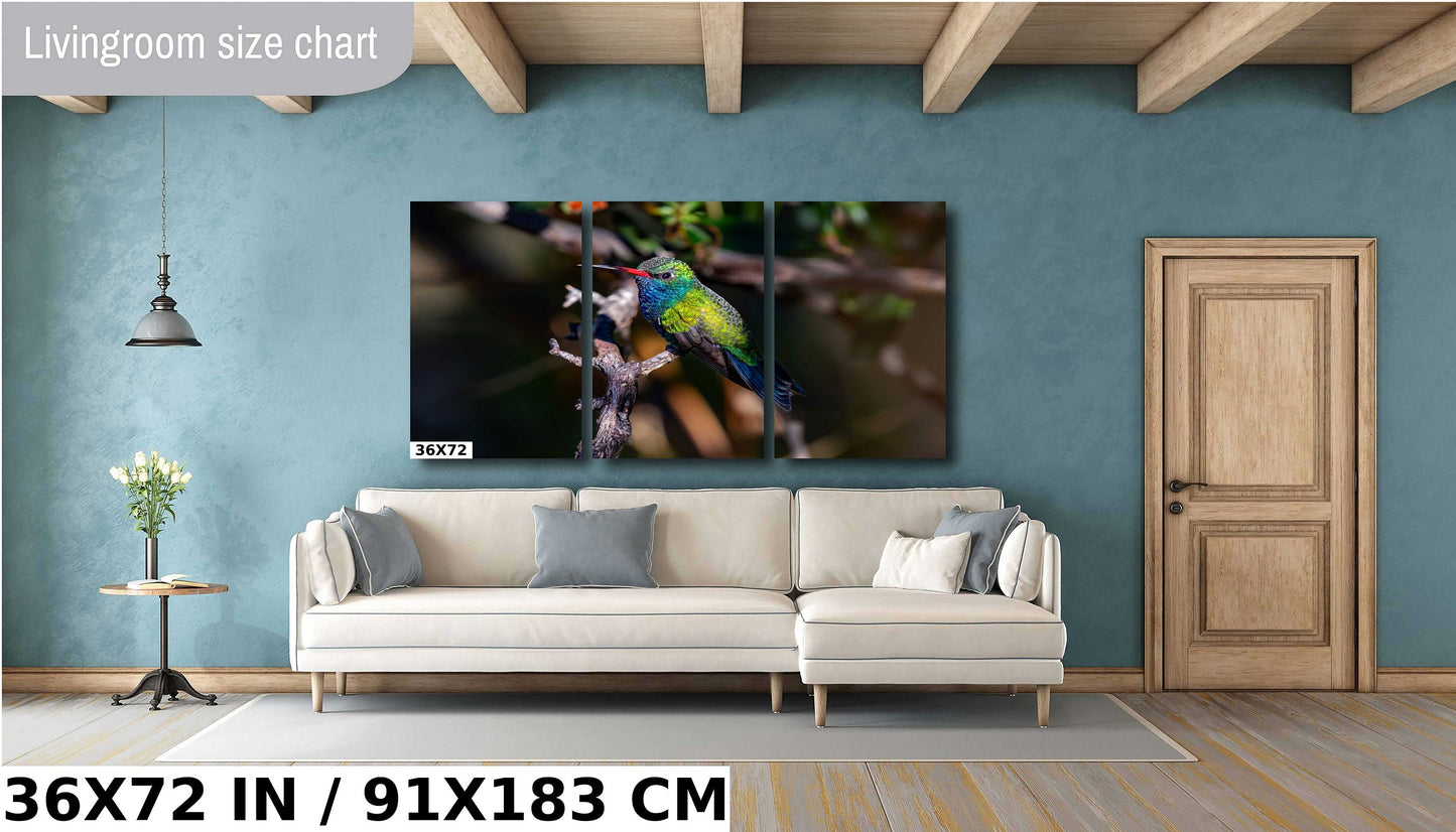 Feathered Jewel: Broad-Billed Hummingbird Wall Art Bird Photography Metal Acrylic Print