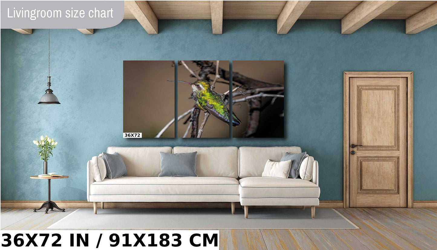 Winged Wonder: Broad-Billed Hummingbird Wall Art Bird Photography Metal Aluminum Print