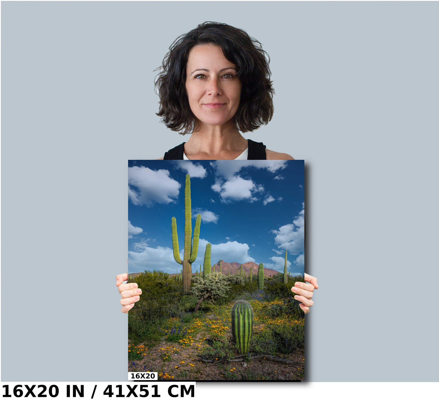 Reach for the Sky: Saguaro Cacti and Wildflowers in Organ Pipe Cactus National Monument Wall Art Metal Canvas Print Arizona Desert Portrait