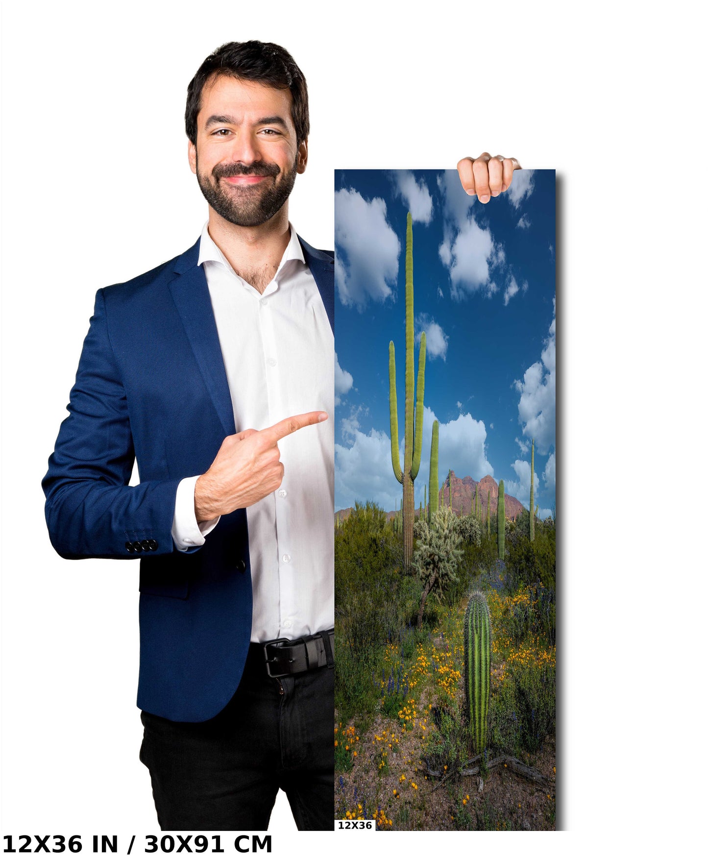 Reach for the Sky: Saguaro Cacti and Wildflowers in Organ Pipe Cactus National Monument Wall Art Metal Canvas Print Arizona Desert Portrait