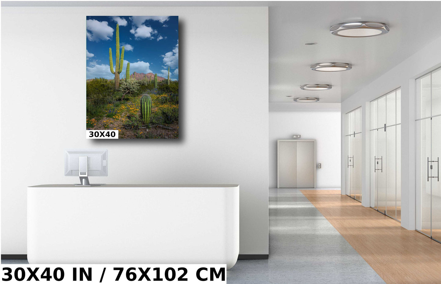 Reach for the Sky: Saguaro Cacti and Wildflowers in Organ Pipe Cactus National Monument Wall Art Metal Canvas Print Arizona Desert Portrait