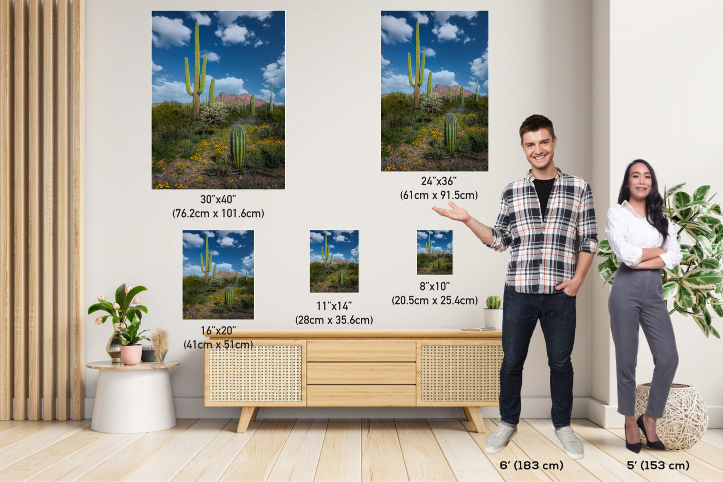 Reach for the Sky: Saguaro Cacti and Wildflowers in Organ Pipe Cactus National Monument Wall Art Metal Canvas Print Arizona Desert Portrait