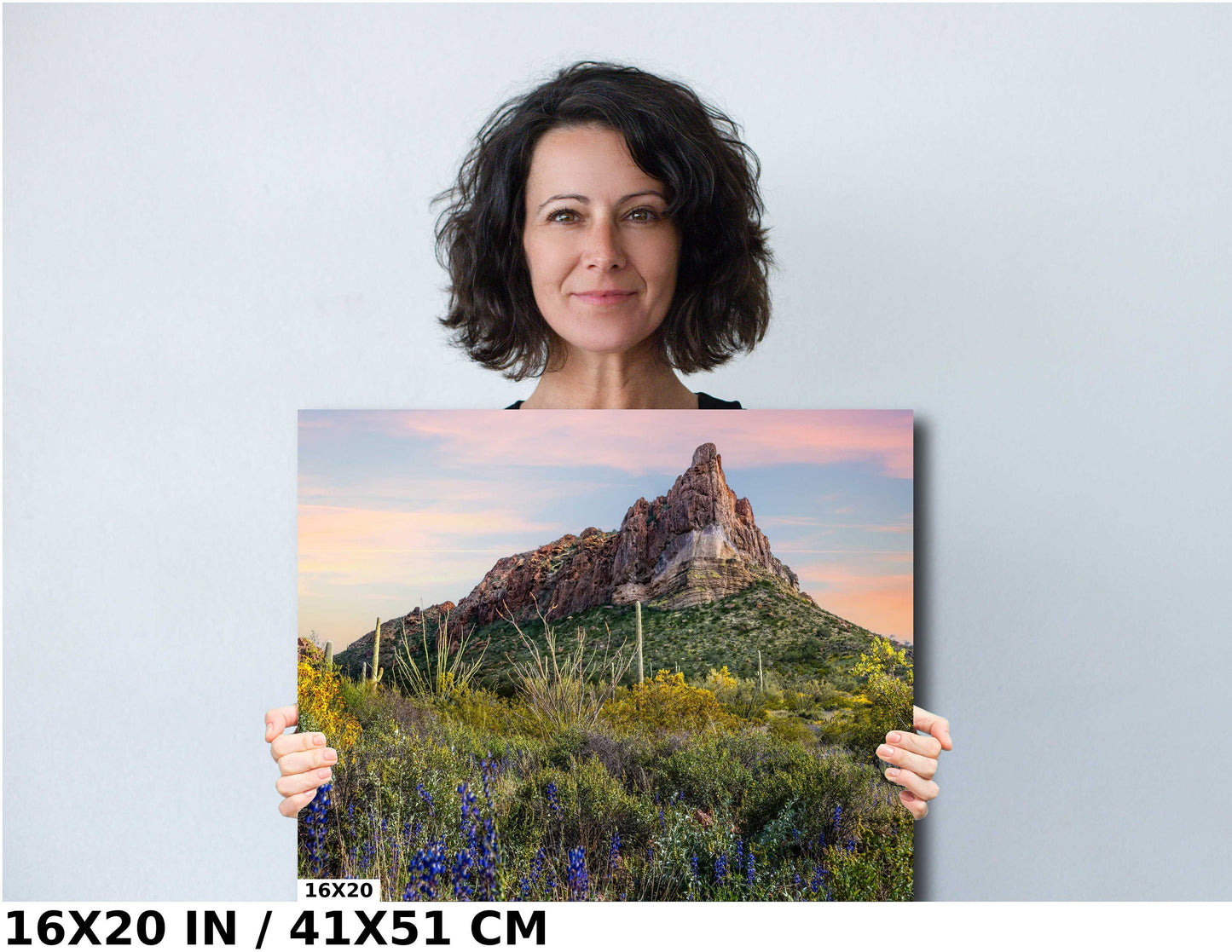 Spring has Sprung in Organ Pipe: High Big Rocks and Wildflowers Organ Pipe Cactus National Monument Metal Canvas Print Wall Art Arizona