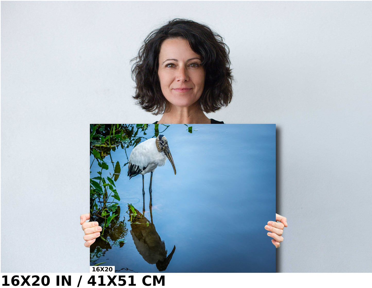 Chillin’: Wood Stork Bird Captured in Water's Reflection Wall Art Metal Aluminum Print Bird Photograph