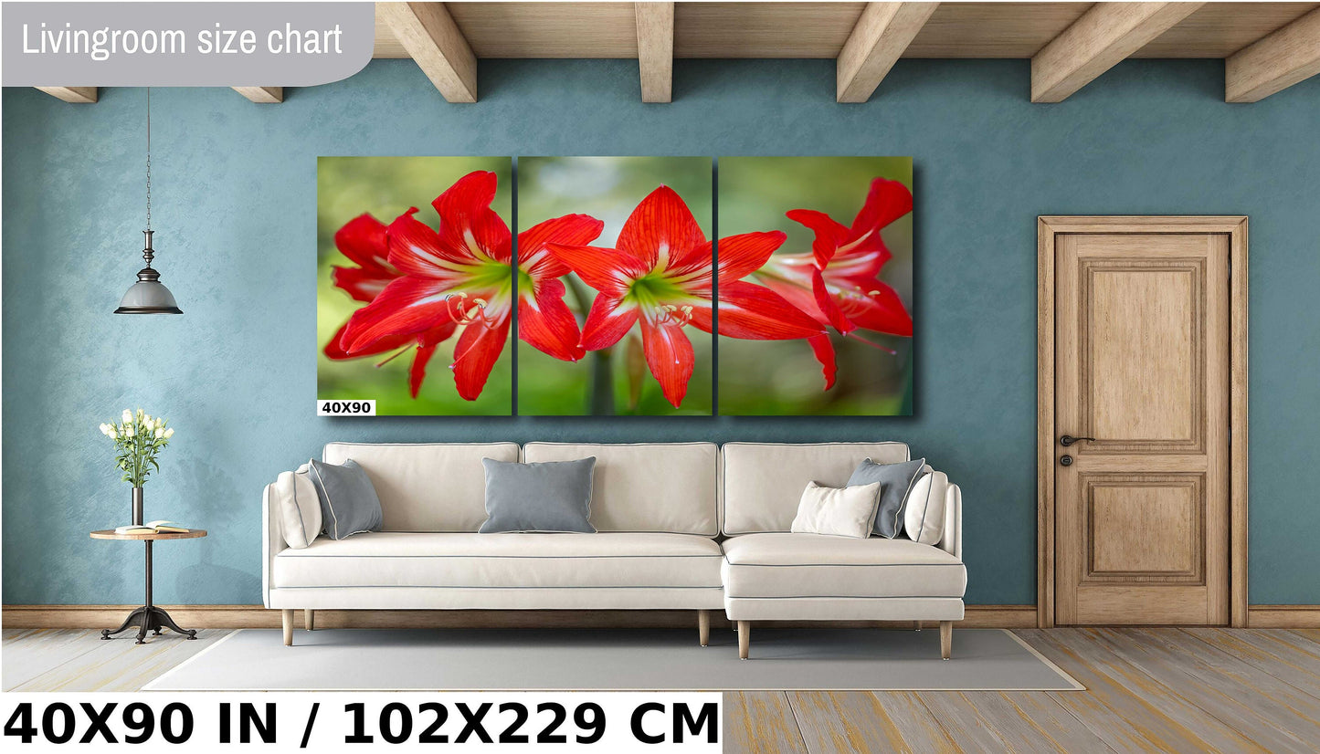 Blossom Brilliance: Hippeastrum Balentino Wall Art Amaryllis Metal Canvas Print Blooming Red Flower Photography