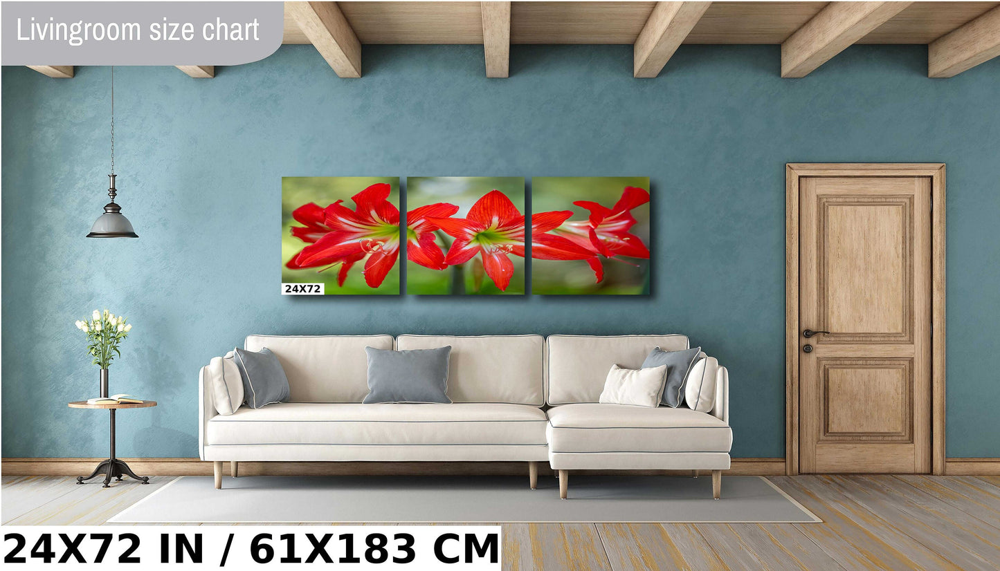 Blossom Brilliance: Hippeastrum Balentino Wall Art Amaryllis Metal Canvas Print Blooming Red Flower Photography