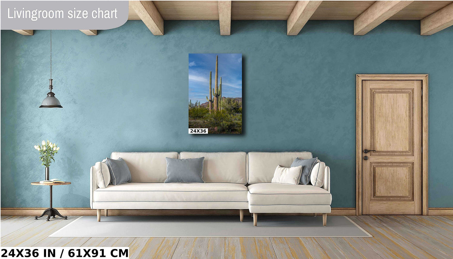 Standing Tall! Saguaro Cacti Standing Tall in Organ Pipe National Monument Metal Canvas Print Wall Art Arizona Desert