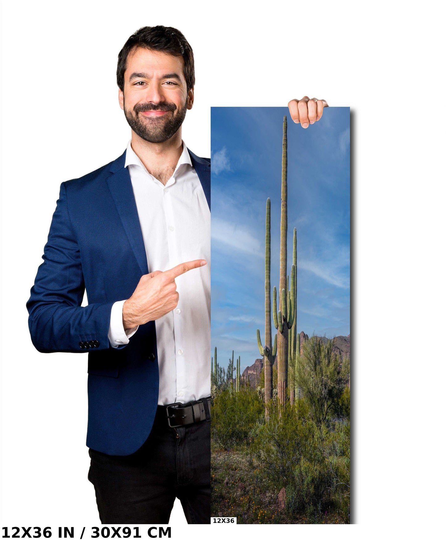 Standing Tall! Saguaro Cacti Standing Tall in Organ Pipe National Monument Metal Canvas Print Wall Art Arizona Desert