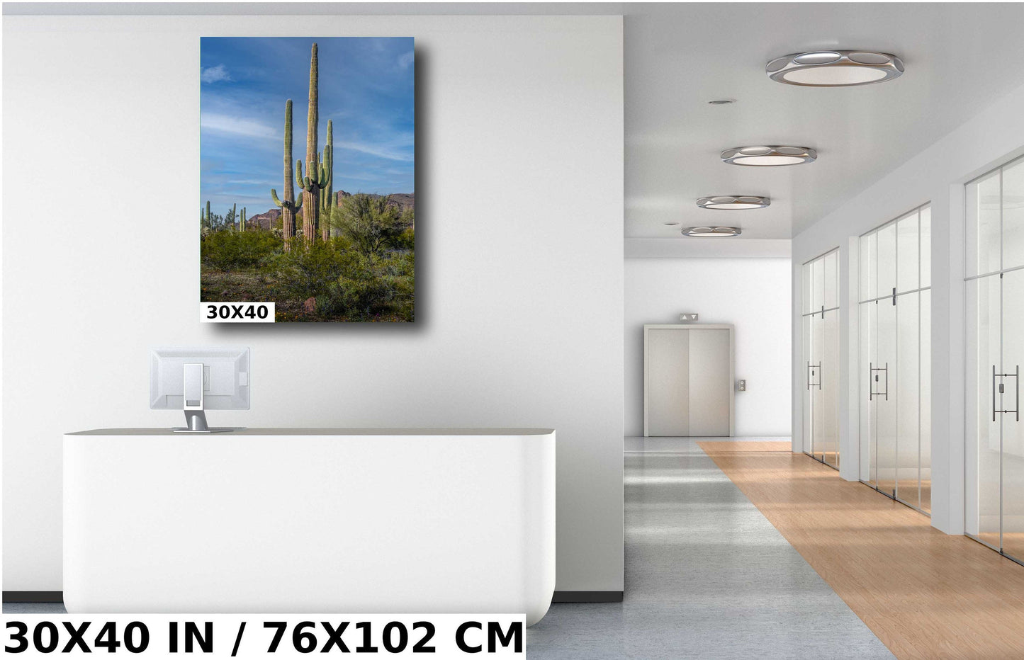 Standing Tall! Saguaro Cacti Standing Tall in Organ Pipe National Monument Metal Canvas Print Wall Art Arizona Desert