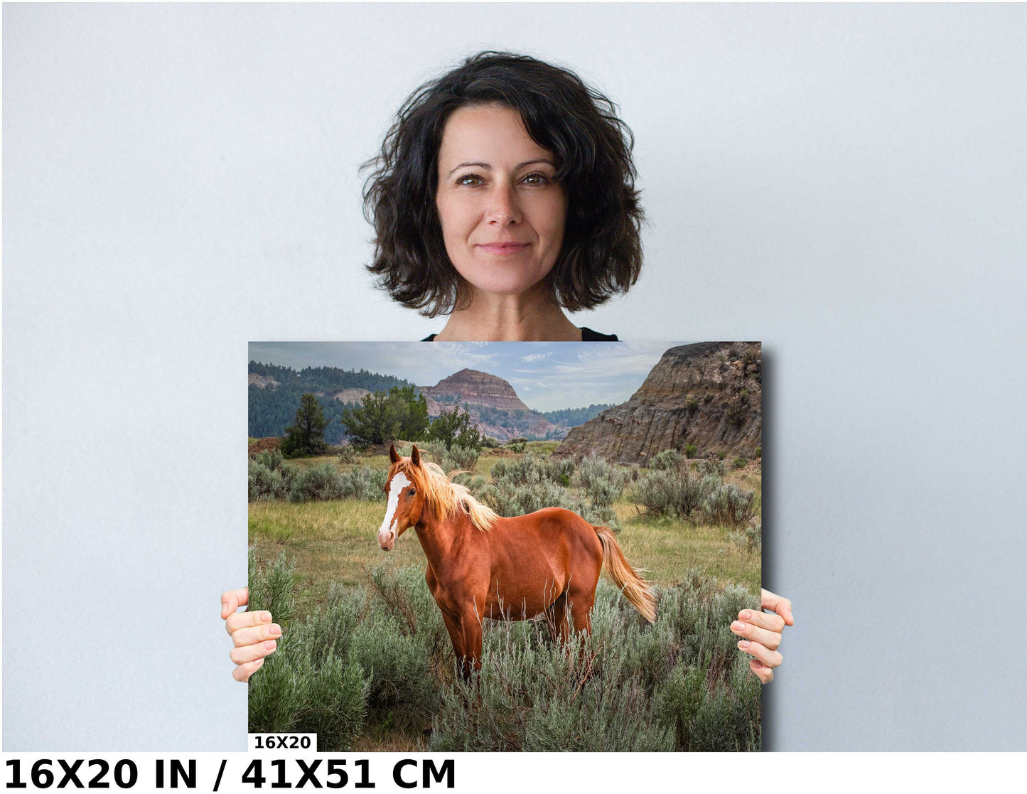 Majestic Mustang: Wild Stallion Roaming Theodore Roosevelt National Park Metal Canvas Print North Dakota Wall Art