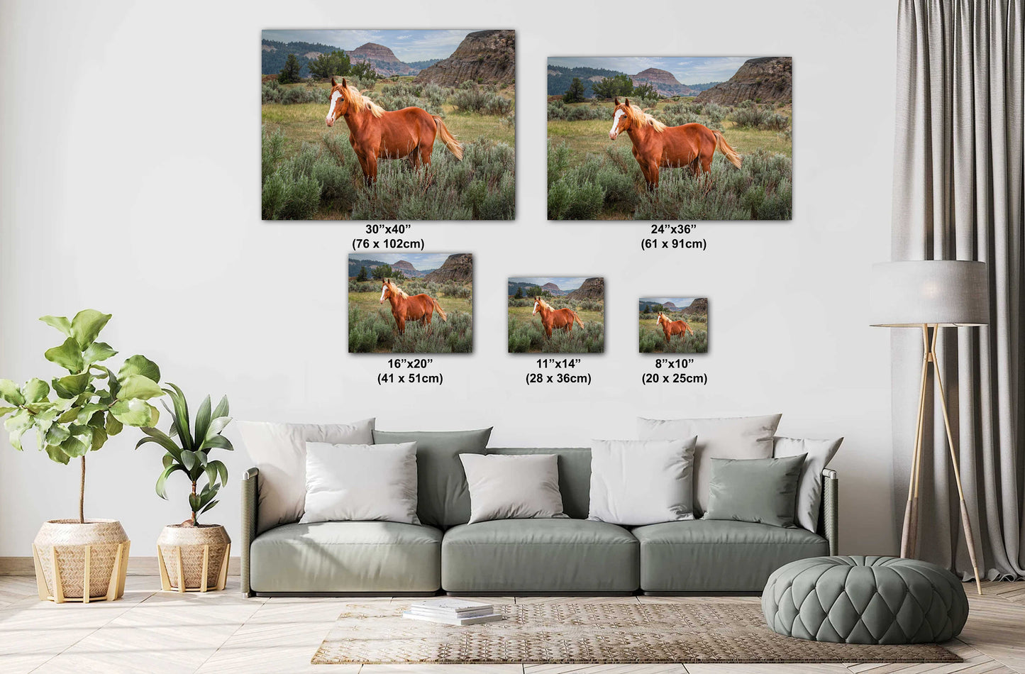 Majestic Mustang: Wild Stallion Roaming Theodore Roosevelt National Park Metal Canvas Print North Dakota Wall Art