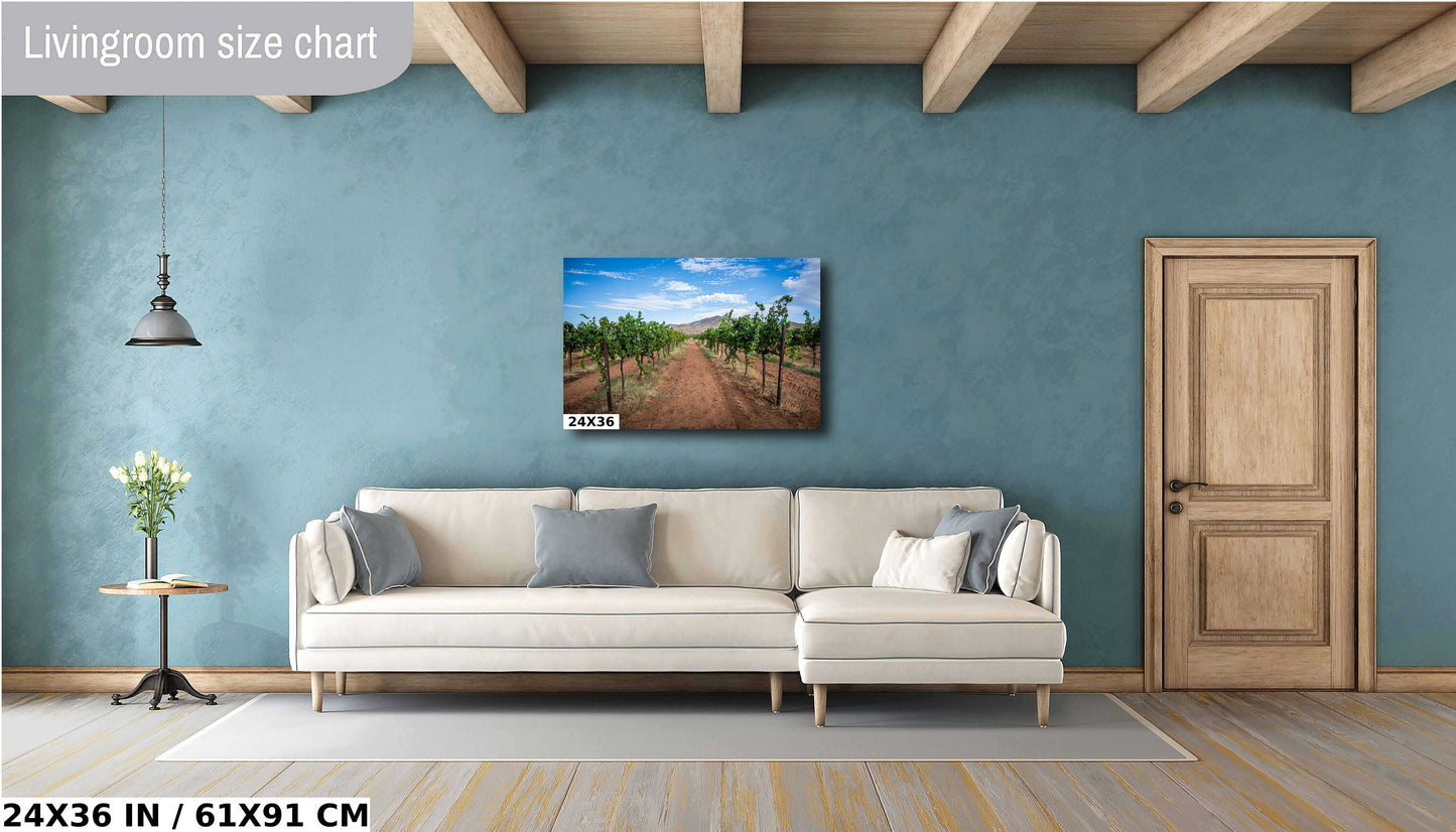 Arizona Wine Country: Coronado Vineyards in the Heart of Willcox Metal Aluminum Print Wall Art Arizona Landscape