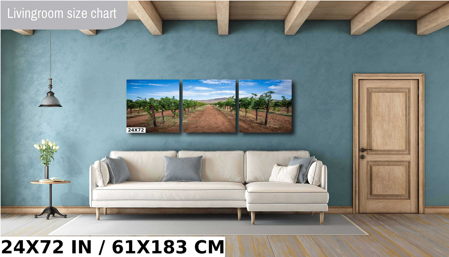 Arizona Wine Country: Coronado Vineyards in the Heart of Willcox Metal Aluminum Print Wall Art Arizona Landscape