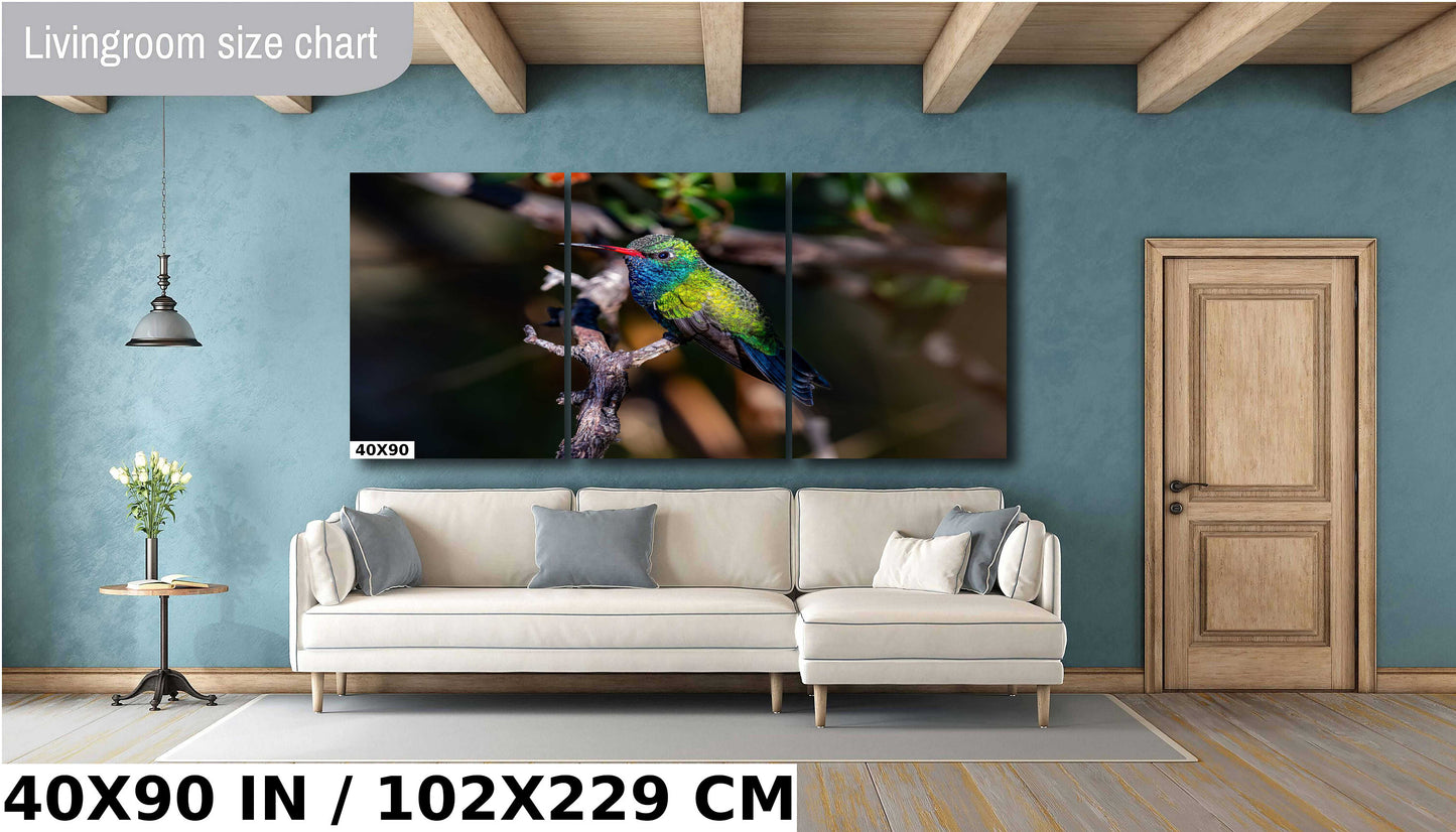 Feathered Jewel: Broad-Billed Hummingbird Wall Art Bird Photography Metal Acrylic Print