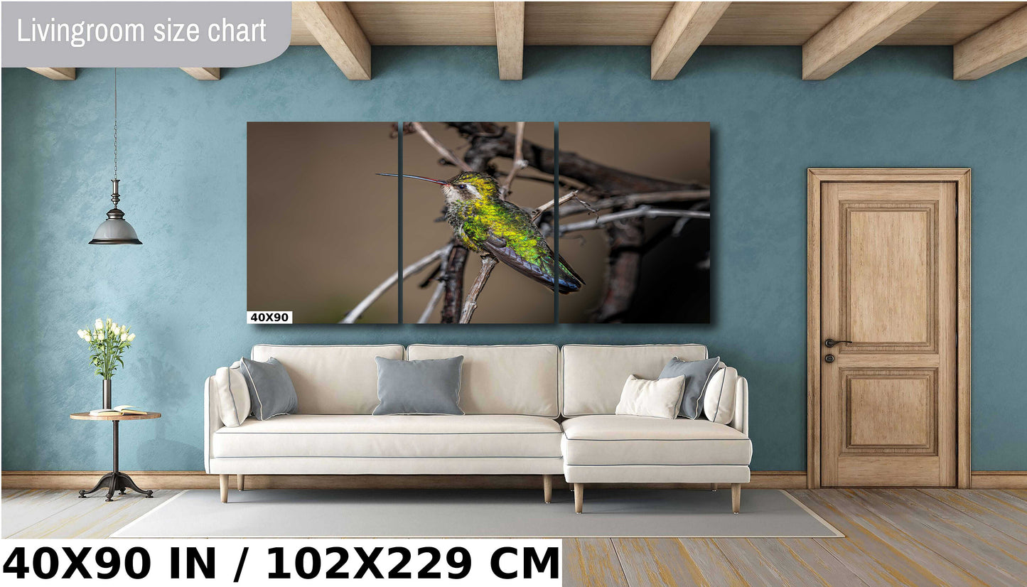 Winged Wonder: Broad-Billed Hummingbird Wall Art Bird Photography Metal Aluminum Print