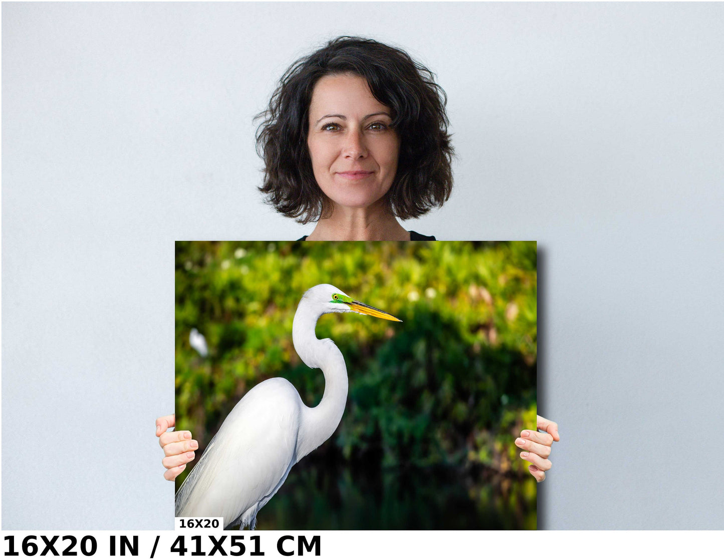 Egret Elegance: Side View of the Majestic White Great Egret Bird Photography Wall Art Metal Canvas Print