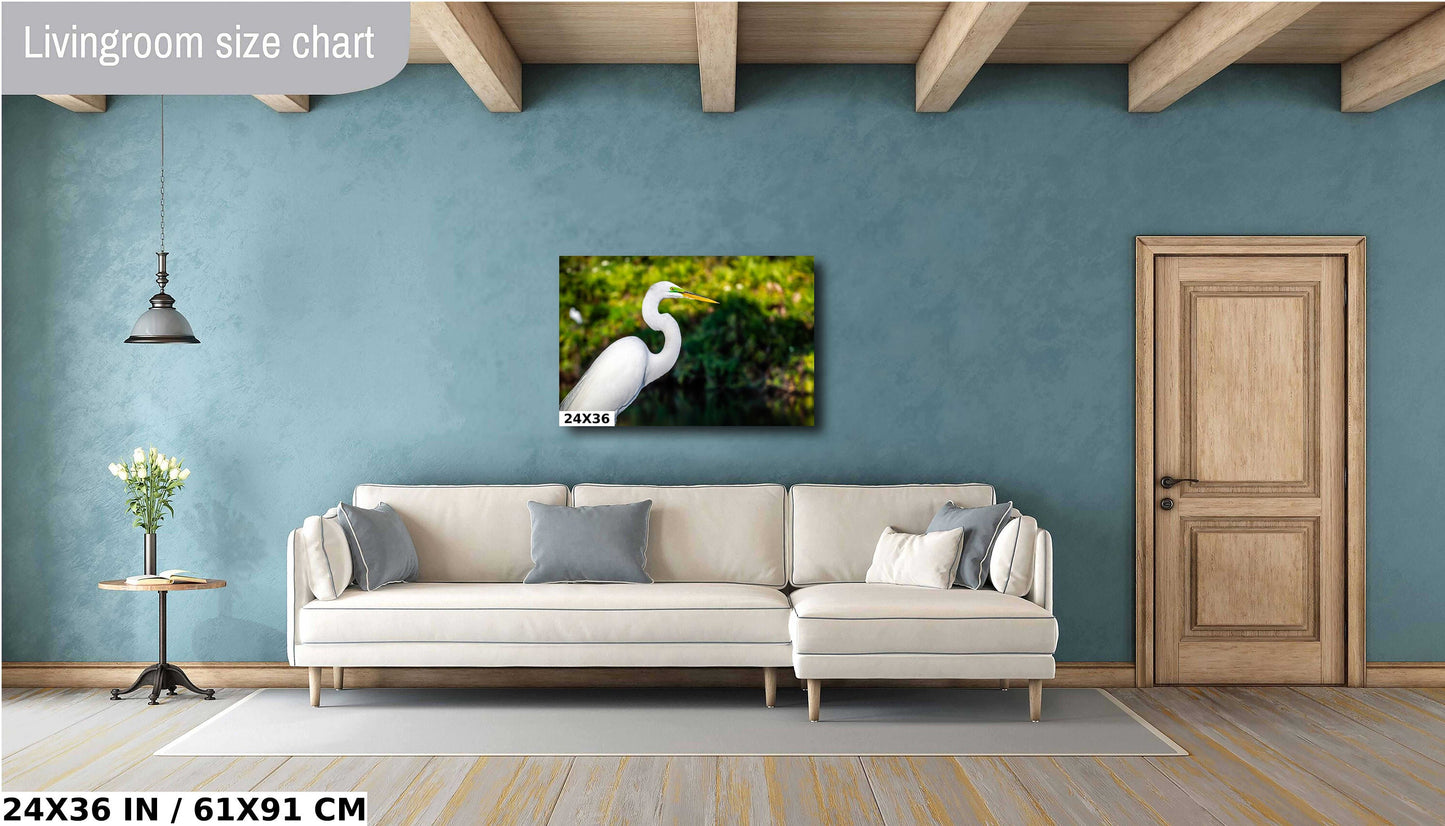 Egret Elegance: Side View of the Majestic White Great Egret Bird Photography Wall Art Metal Canvas Print