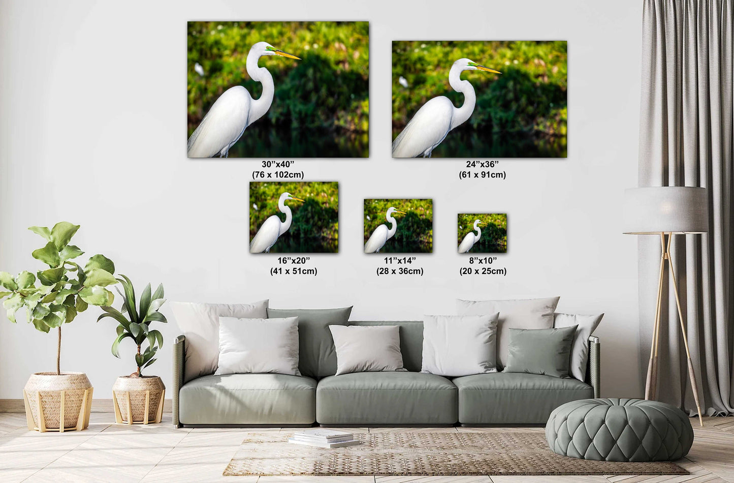 Egret Elegance: Side View of the Majestic White Great Egret Bird Photography Wall Art Metal Canvas Print