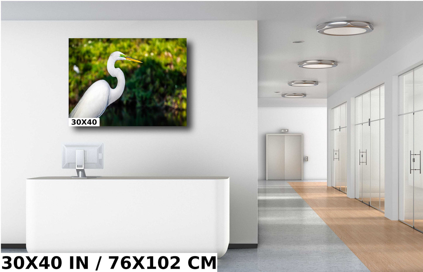 Egret Elegance: Side View of the Majestic White Great Egret Bird Photography Wall Art Metal Canvas Print