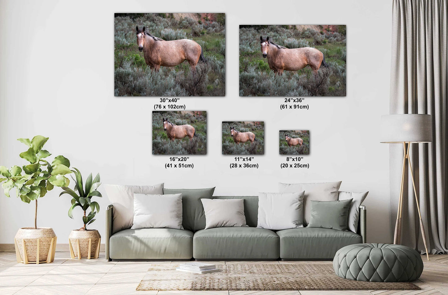 Grasslands Guardian: Stallion Amidst Wild Grass in Theodore Roosevelt Park Metal Canvas Print North Dakota Wall Art